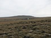 Img 0180