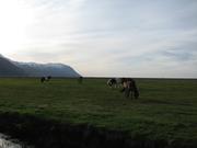 Img 0215