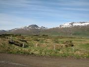 Img 0231