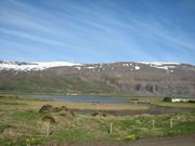 Img 0234