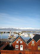 Img 0235
