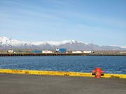 Img 0249