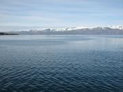 Img 0252