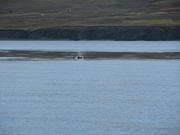 Img 0271