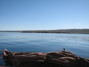 Img 0275