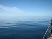 Img 0279