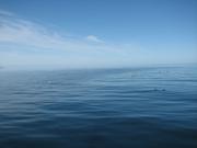 Img 0319
