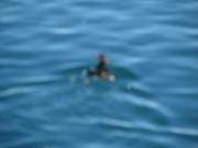 Img 0328