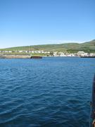 Img 0389