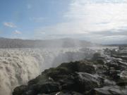 Img 0450