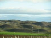 Img 0490
