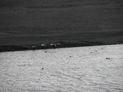 Img 0496