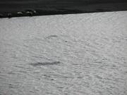 Img 0500