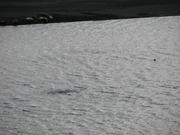 Img 0501