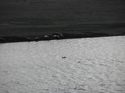 Img 0502