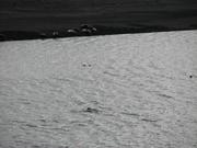 Img 0503