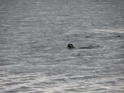 Img 0506