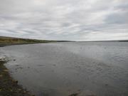 Img 0509