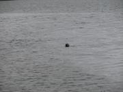 Img 0510