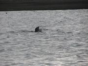 Img 0521