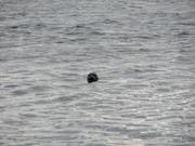 Img 0522