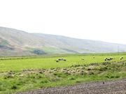 Img 0533