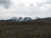 Img 0583