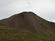 Img 0590