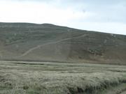 Img 0603