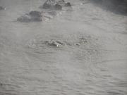 Img 0670