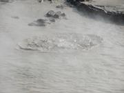 Img 0672