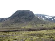 Img 0727
