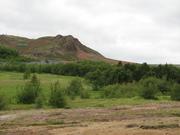 Img 0781