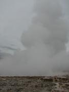 Img 0784