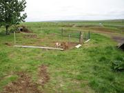 Img 0786