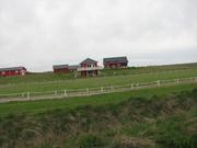 Img 0795