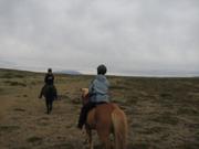 Img 0800