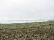 Img 0803