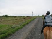 Img 0808