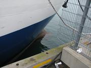 Img 0829