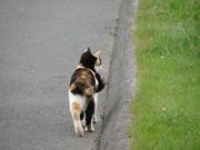 Img 0855