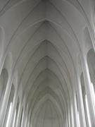 Img 0861