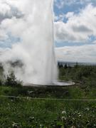 Img 0888