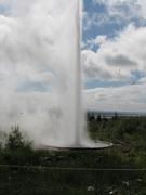 Img 0889