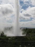 Img 0890