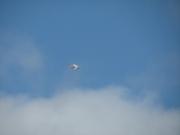 Img 0923