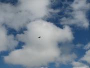 Img 0924