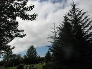Img 0925