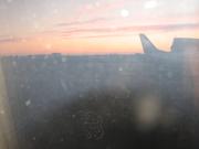 Img 0929