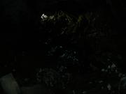 Dscn3382